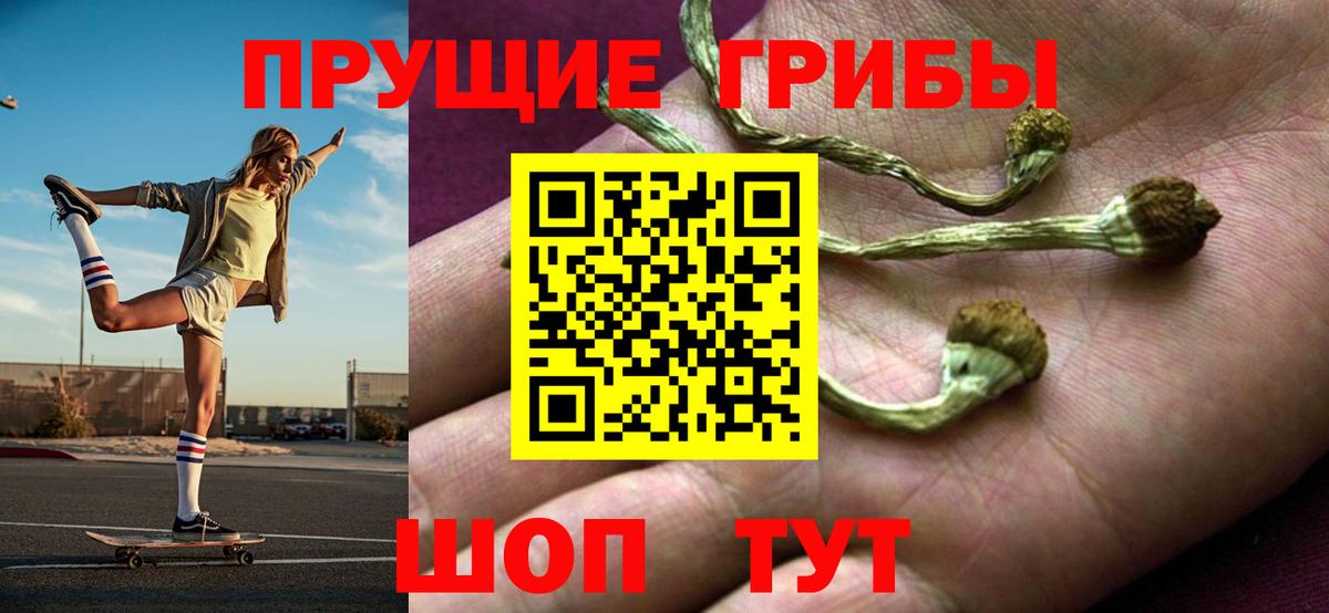 Серов  Псилоцибиновые грибы GOLDEN TEACHER  Псилоцибиновые грибы прущие грибы  Вход с VPN 